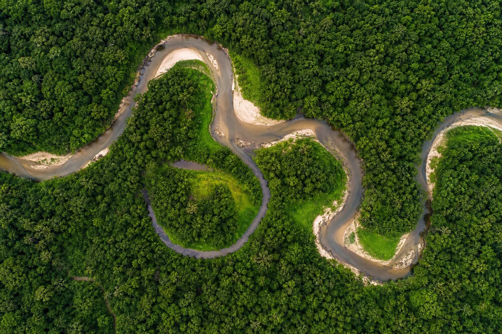 Aerial view of a forest road